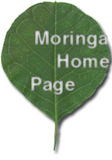 Moringa Home Page